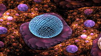 Ishuwa in Marin Logo