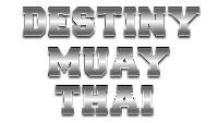 Destiny Muay Thai 8 Logo