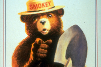 ffdasfd Logo