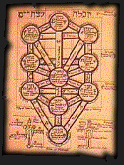 The Sefirot- The Tree Of Life Introduction Logo