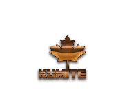 CANADIAN KUMITE - REPLAY Logo