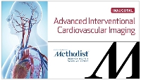 Advanced Interventional Cardiovascular Imaging (ICI) 2017 Day 1 Logo