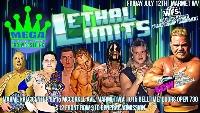 WFS PRESENTS: Lethal Limits Logo