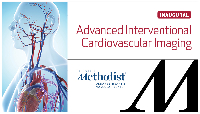 Advanced Interventional Cardiovascular Imaging (ICI) 2017 Day 2 Logo