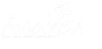 Awaken Fair NYC Logo