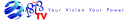 Business Literacy 101 Logo